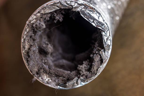 Best HVAC System Cleaning  in Edgeworth, PA