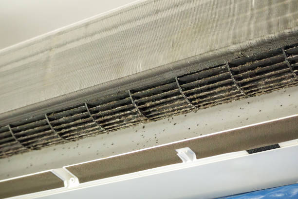 Best Air Duct Cleaning Near Me  in Edgeworth, PA